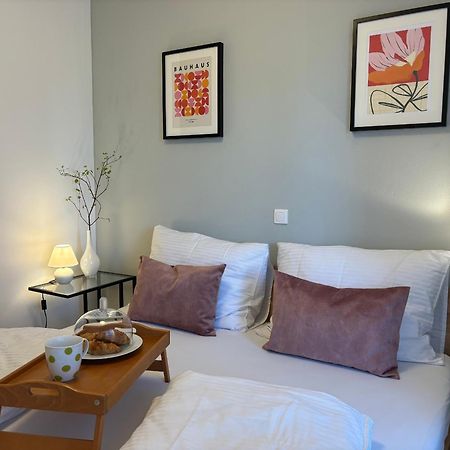 Ljubljanica Apartment Ljubljana Dış mekan fotoğraf