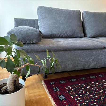Ljubljanica Apartment Ljubljana Dış mekan fotoğraf