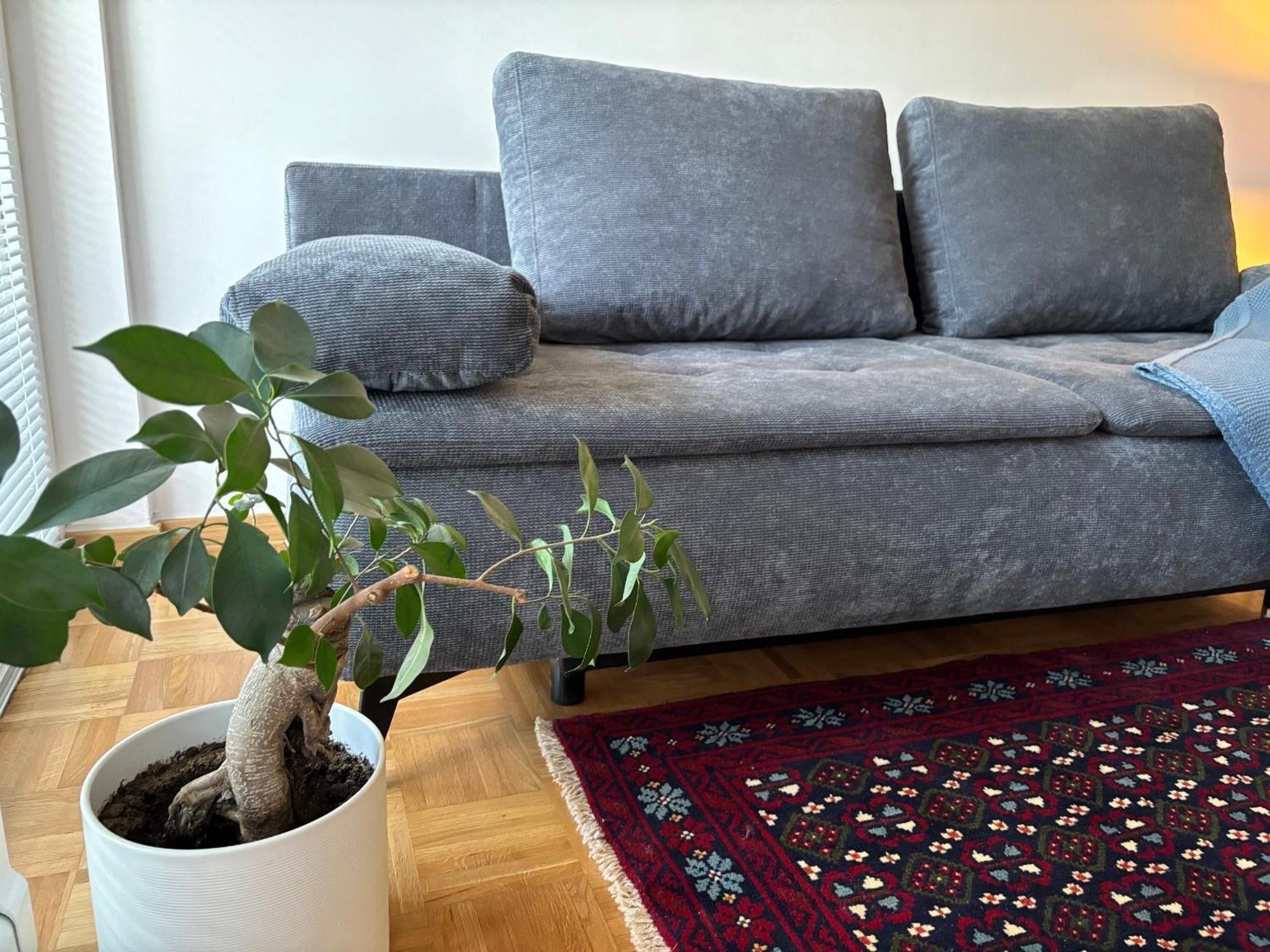 Ljubljanica Apartment Ljubljana Dış mekan fotoğraf