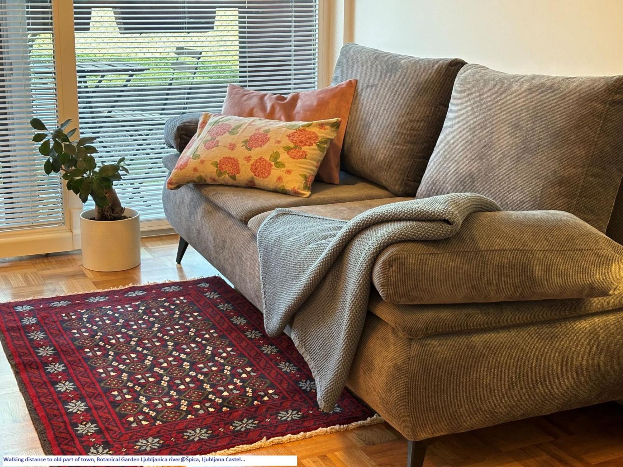 Ljubljanica Apartment Ljubljana Dış mekan fotoğraf
